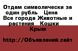 Отдам символически за один рубль › Цена ­ 1 - Все города Животные и растения » Кошки   . Крым